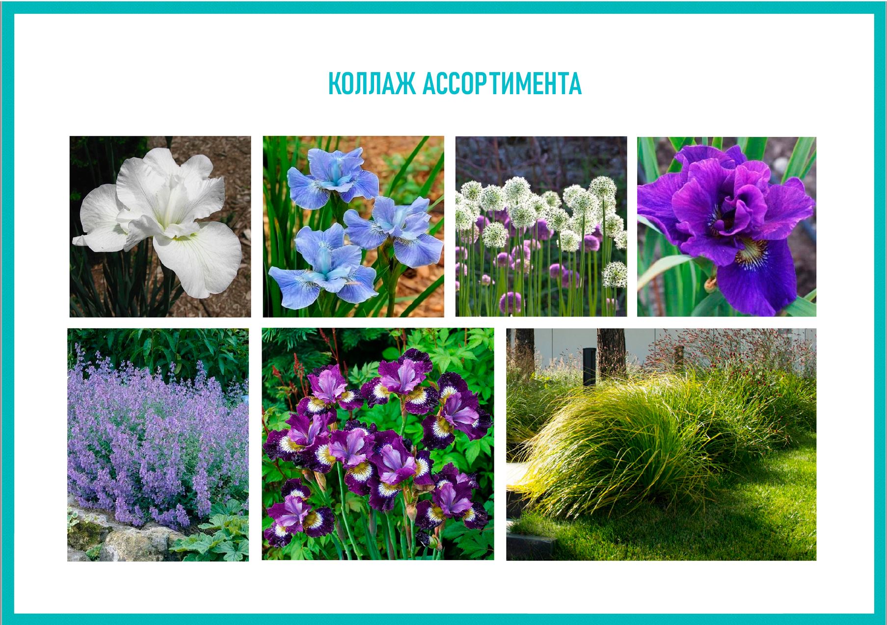 Изображение об услуге 3